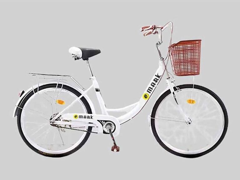 Emark Butterfly Standard Bicycle (24)